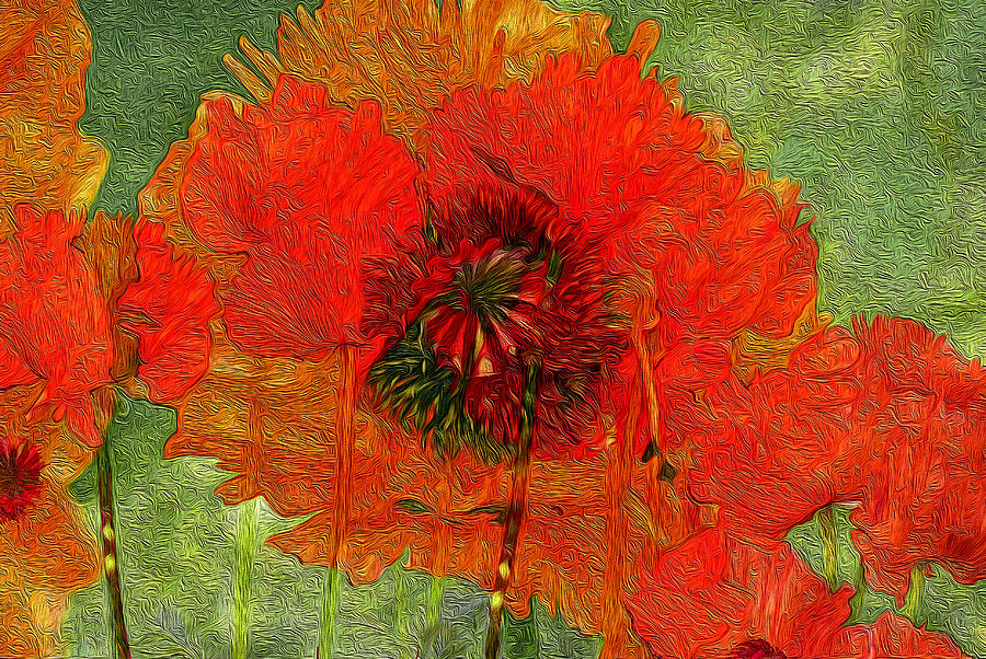 Poppy Field 14 Digital Art by Lynda Lehmann
