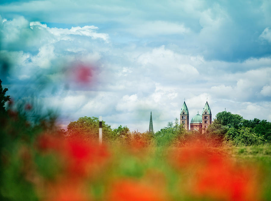 Romanesque Photograph - Poppy Field and Speyer Cathedral by Nailia Schwarz