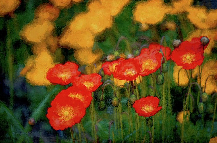 Poppy Field At Sunset - Digital Painting Photograph by Maria Angelica Maira