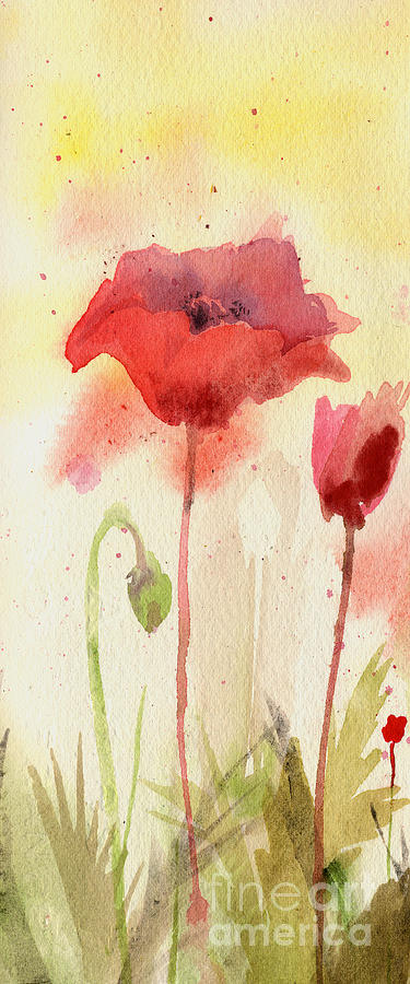 Poppy Painting - Poppy Field#1 by Sheila Golden