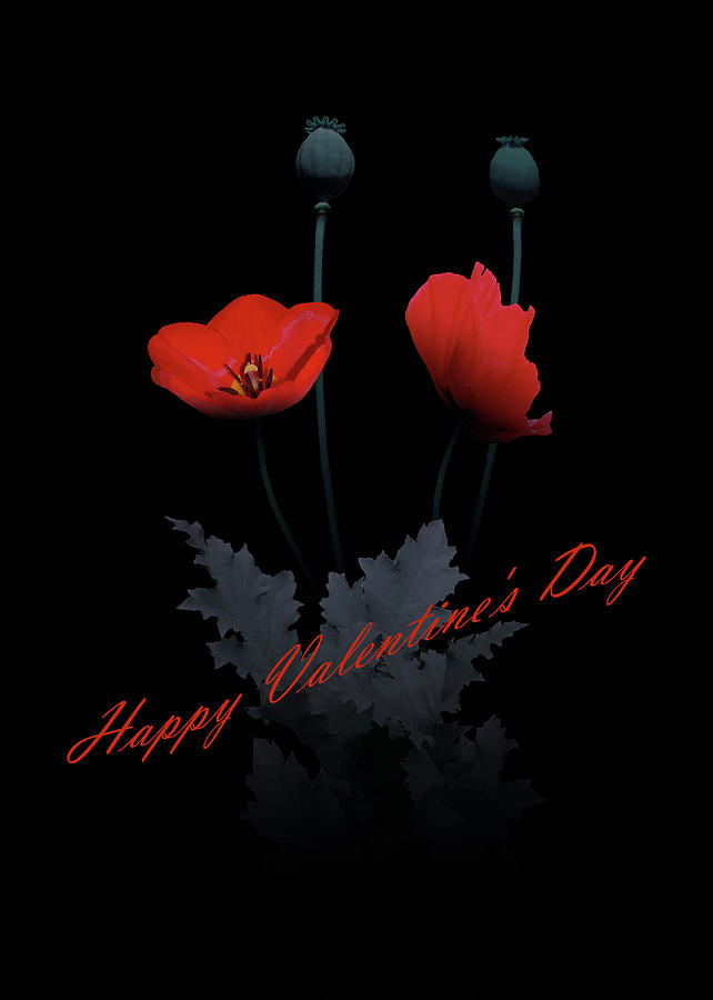 Poppy Flower Valentine Digital Art by M Spadecaller