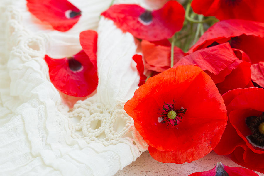 Poppy Flowers and Petals Photograph by Anastasy Yarmolovich