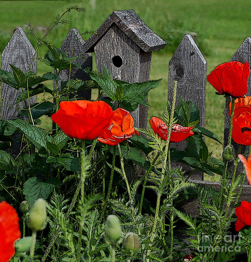 Poppy Garden II Digital Art by Diane E Berry