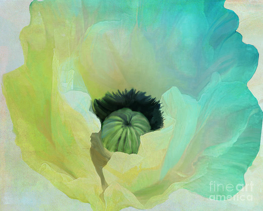 Poppy Painting - Poppy Gradient Aqua by Mindy Sommers