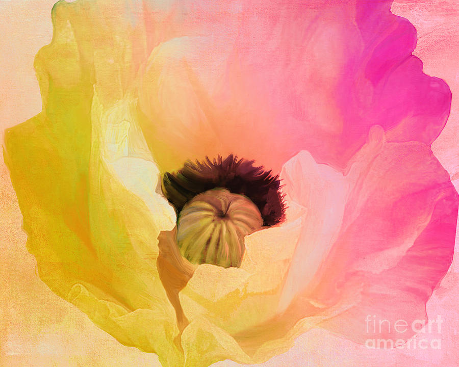 Poppy Painting - Poppy Gradient Pink by Mindy Sommers