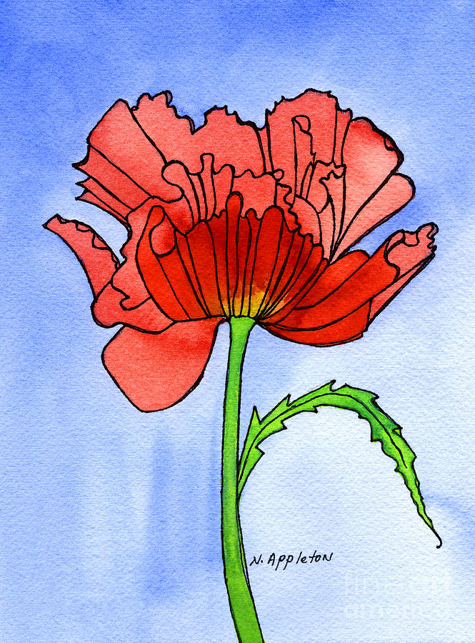 Poppy Painting by Norma Appleton