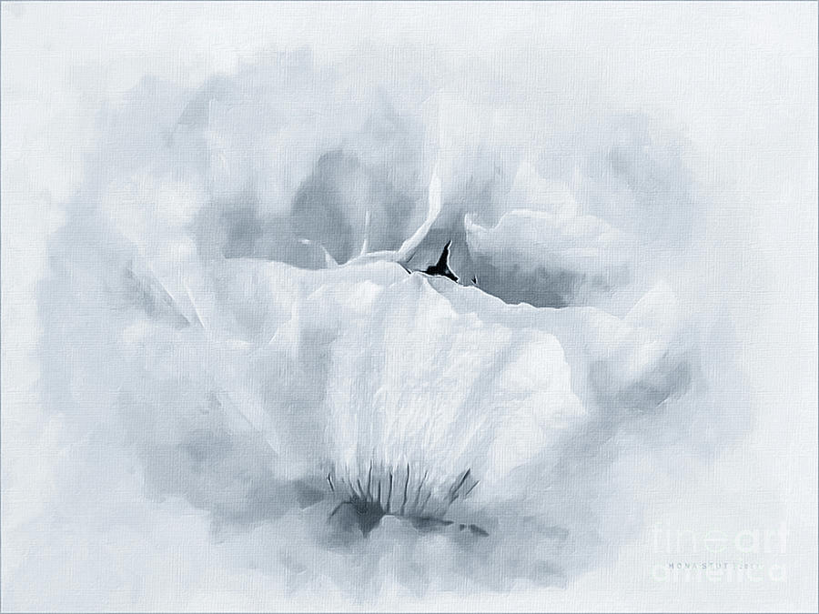 Poppy Pastel Flower Portrait Bw Digital Art