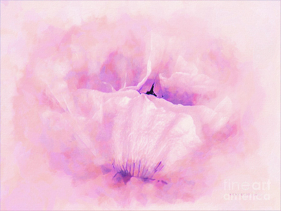 Poppy Pastel Flower Portrait Digital Art