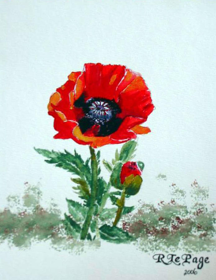 Poppy Painting by Richard Le Page