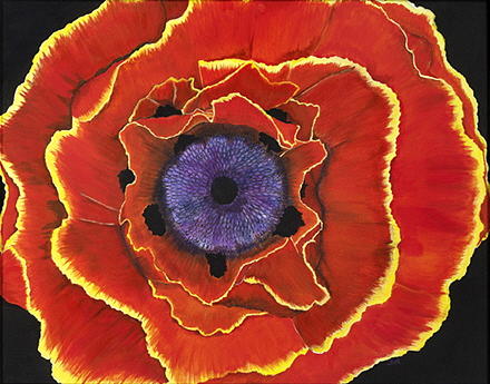 Poppy Painting - Poppy by Sue Ervin