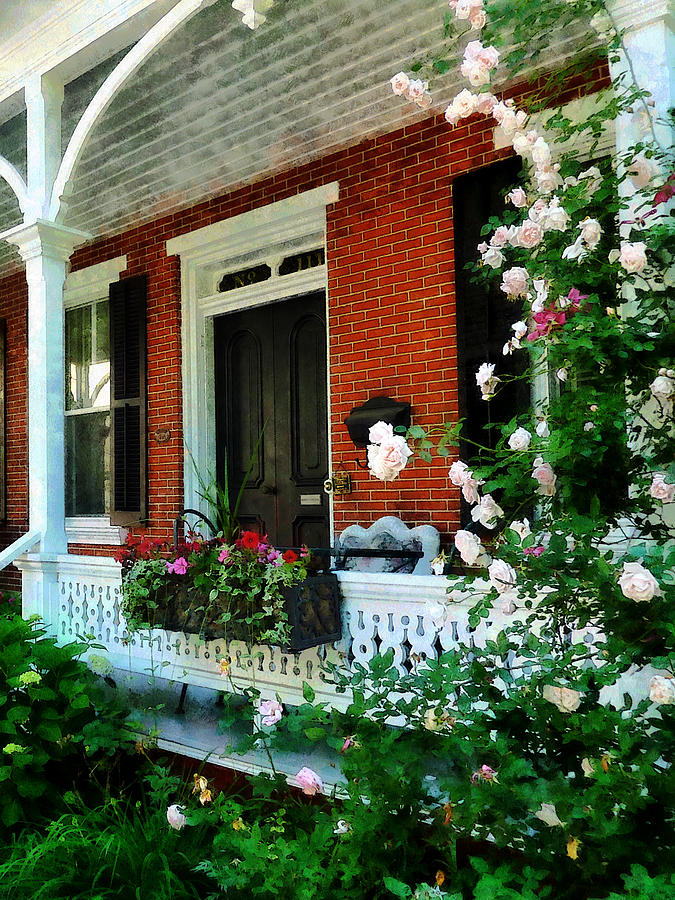 Rose Photograph - Porch With Climbing Roses by Susan Savad