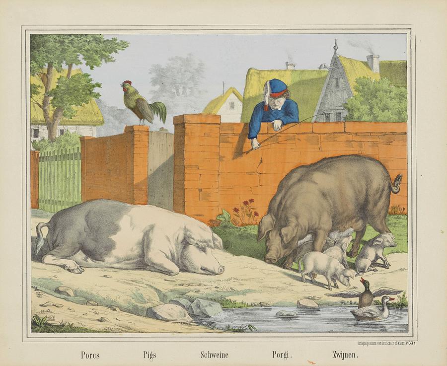 Porcs  Pigs  Pigs  Porgi. Zwijnen, Company Jos. Scholz, 1829 - 1880 Painting