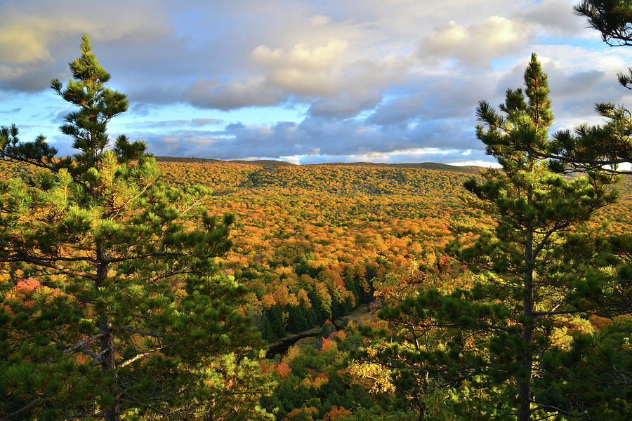 Porcupine Mountains Fall Colors Photograph by Ray Mathis