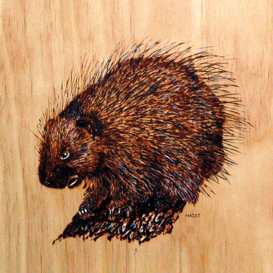 Porcupine Pillow/bag Pyrography by Ron Haist
