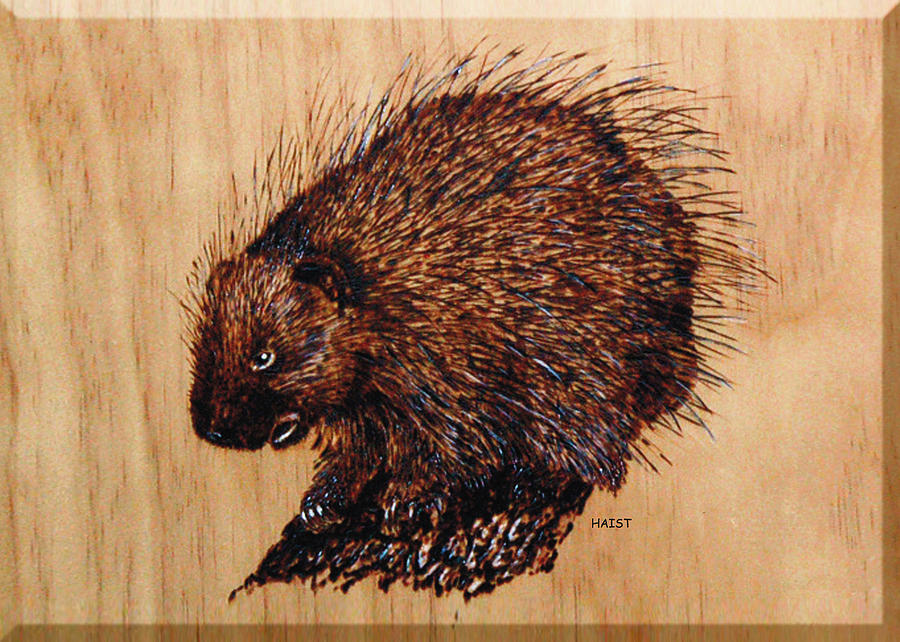 Porcupine Pyrography by Ron Haist