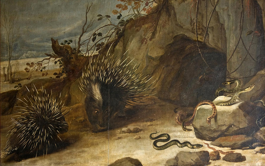 Frans Snyders Painting - Porcupines and Vipers by Frans Snyders