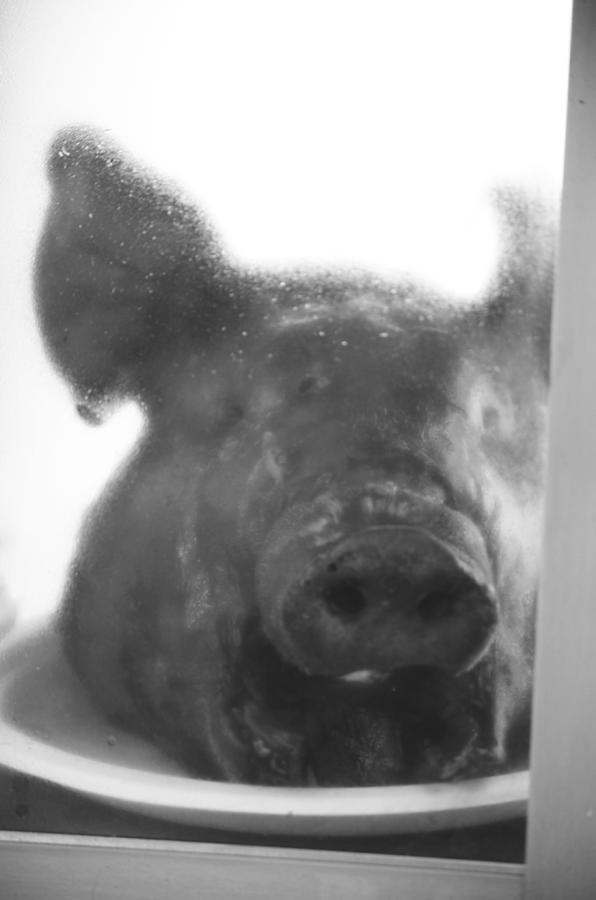 Pork Shop Photograph by J C