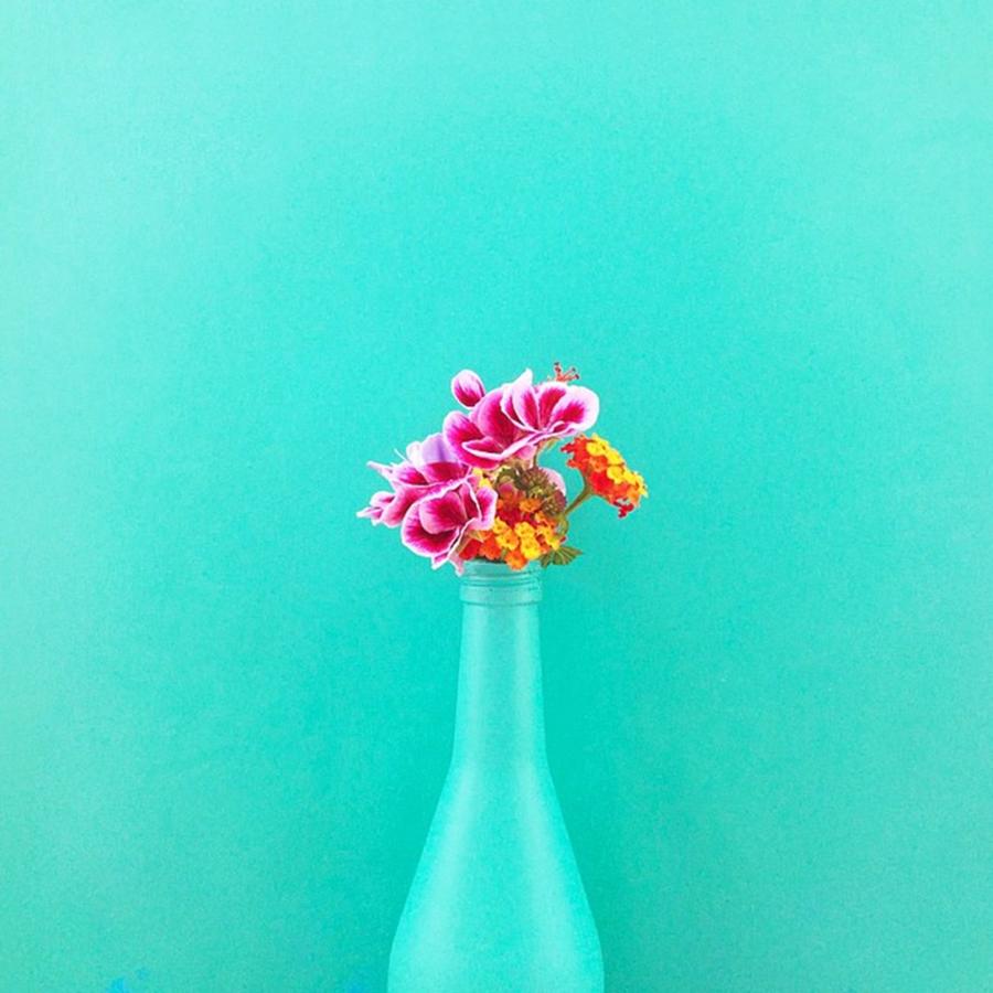 Flowers Photograph by Jesus Ortiz