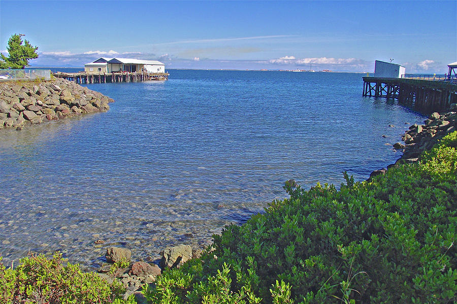 Port Angeles Waterfront, Washington Photograph by Ruth Hager