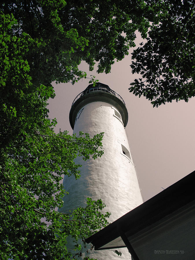 Tree Photograph - Port Austin Lighthouse by Garth Glazier