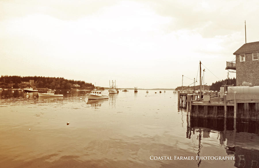Port Clyde Maine Photograph by Becca Wilcox