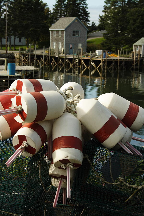 Port Clyde Maine Bouys Photograph by Doug Mills