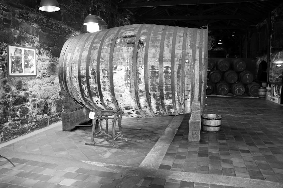 Port oak barrel Photograph by Lukasz Ryszka