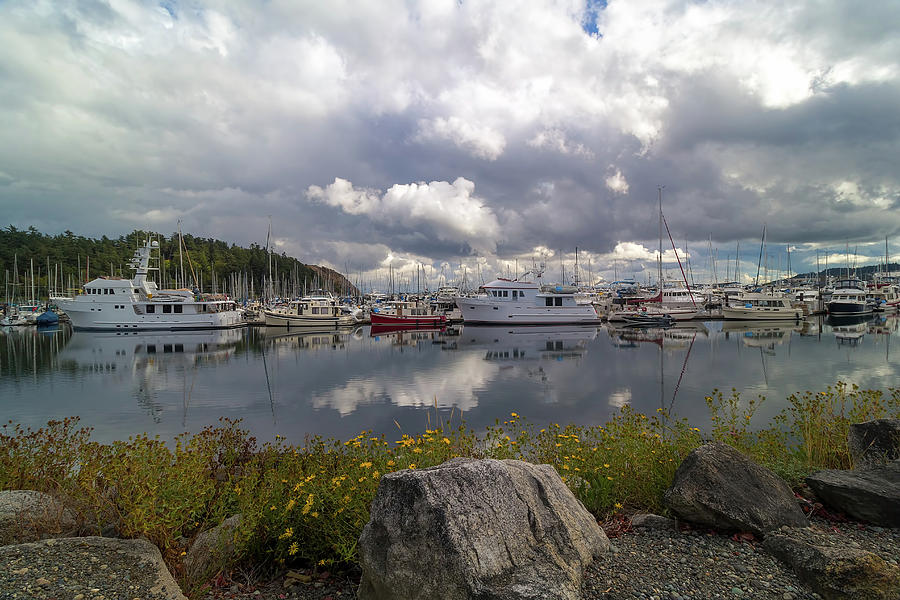 Port of Anacortes Marina on a Cloudy Day Photograph by David Gn