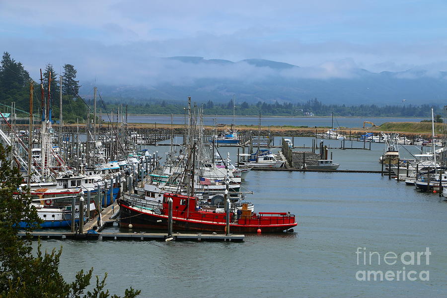 Port Of Ilwaco Photograph by Christiane Schulze Art And Photography