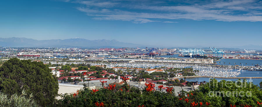 Port of Los Angeles San Pedro Photograph by David Zanzinger