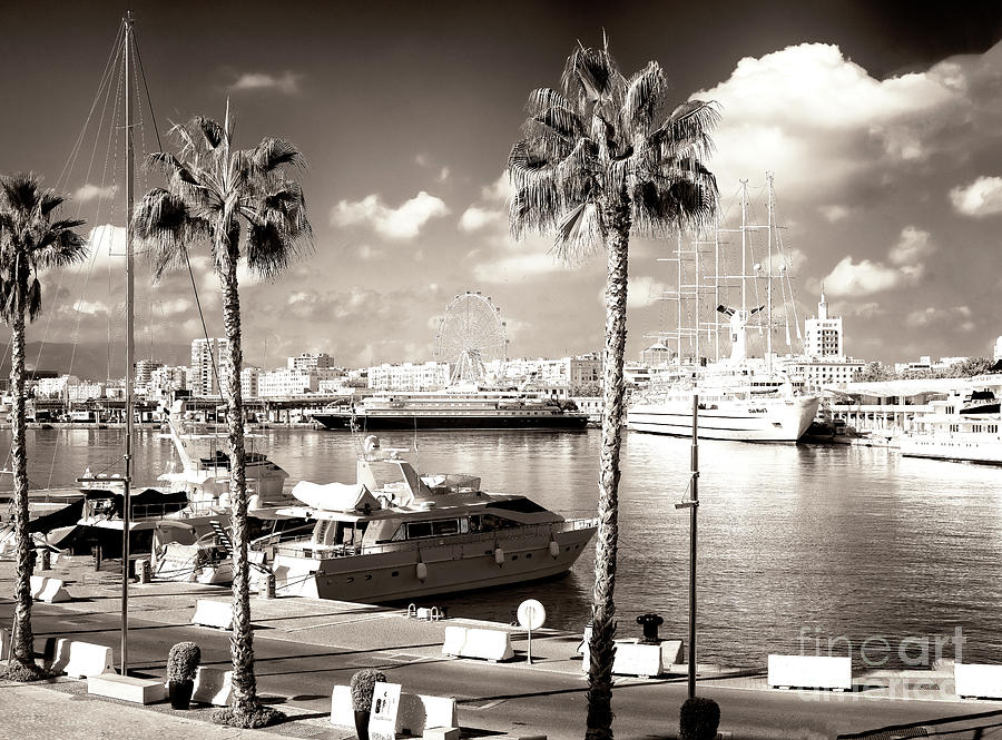 Port of Malaga Photograph by John Rizzuto