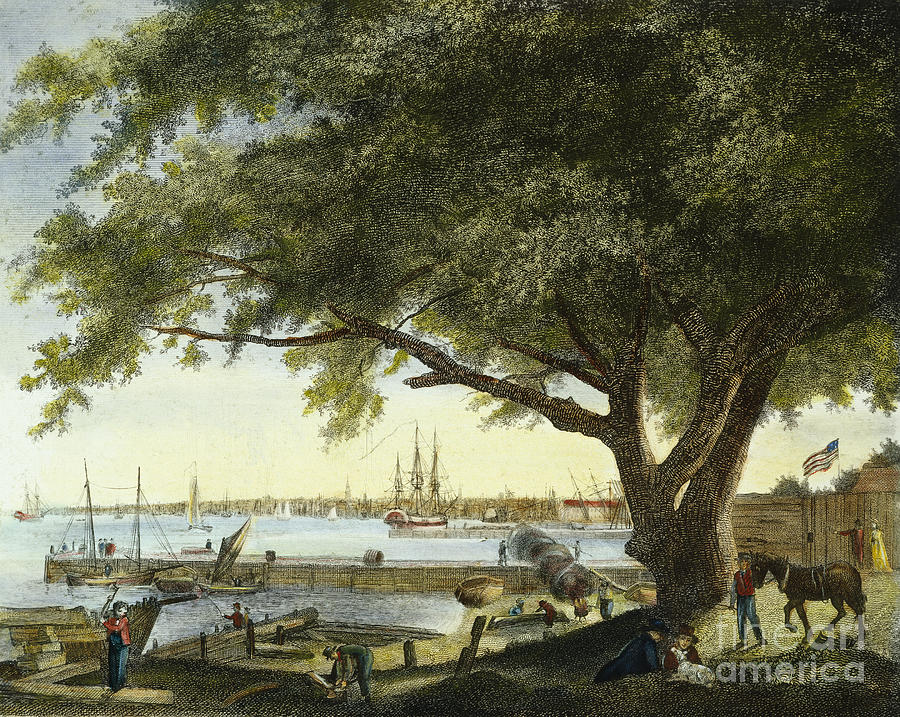 Port Of Philadelphia, 1800 Photograph by Granger