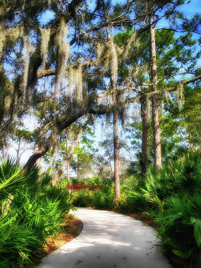 Port St Lucie Botanical Gardens Xxx Digital Art By Tina Baxter