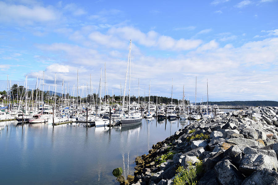 Port Sidney Marina British Columbia Vancouver Island Canada Photograph