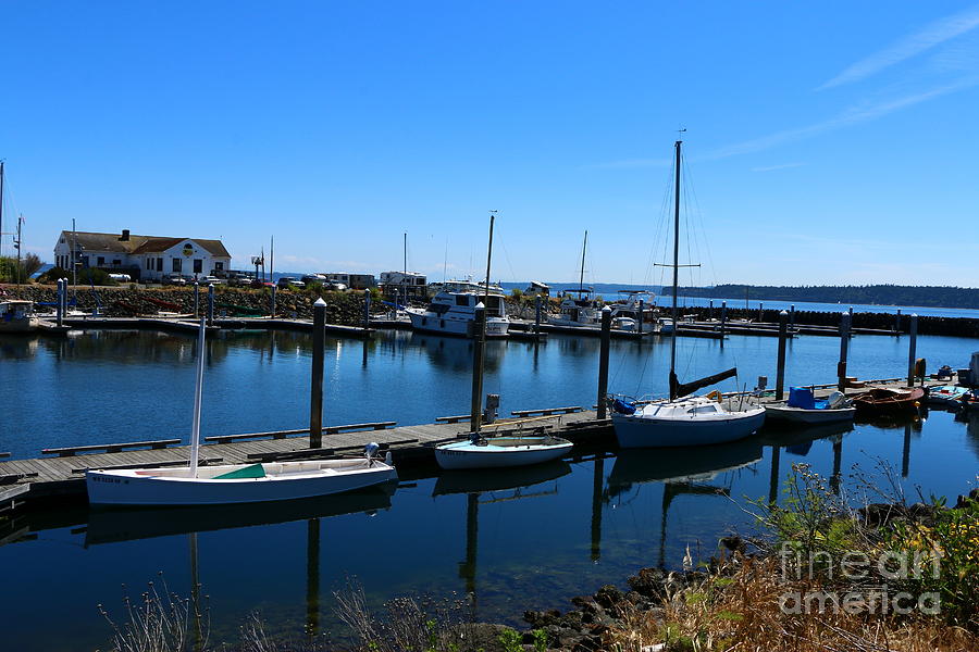 Port Townsend Marina  Photograph by Christiane Schulze Art And Photography