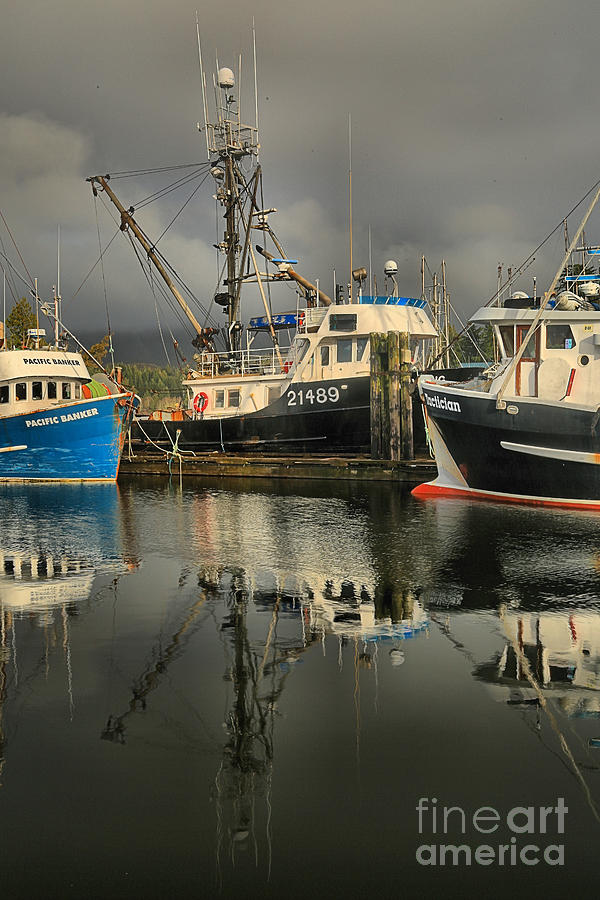 Portait Of Ucluelet Fishing Boats Photograph by Adam Jewell