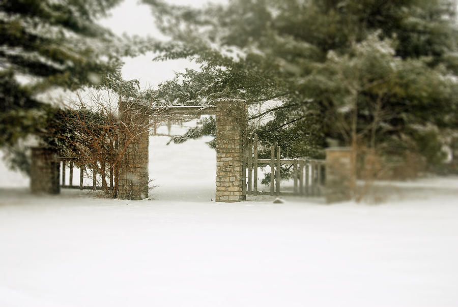 Portal Photograph by Melissa Newcomb
