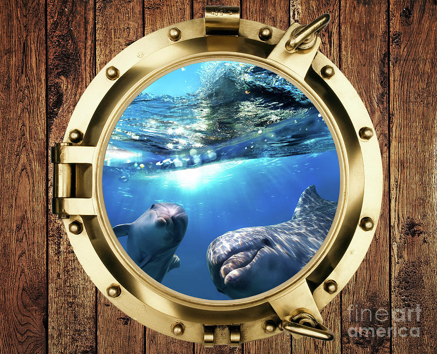 Porthole View Of Dolphins Digital Art By Alexandr Testudo