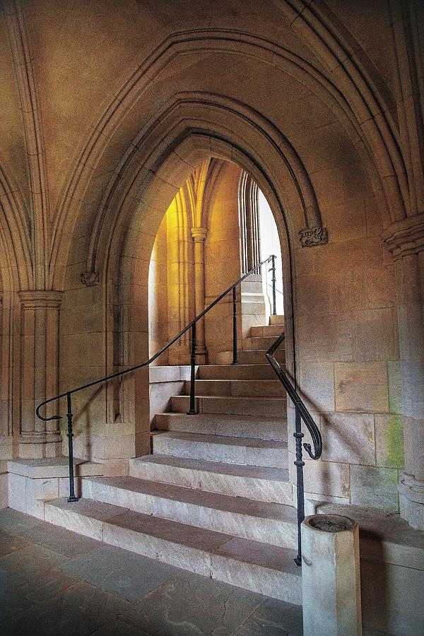 Portico Stairs  Photograph by Harriet Feagin