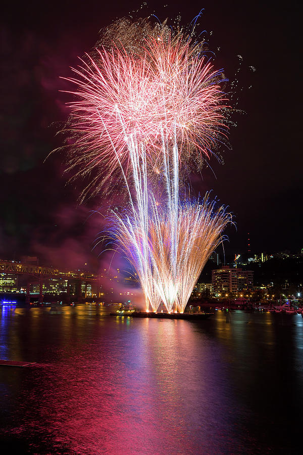 Portland 4th of July Fireworks Photograph by David Gn Fine Art America