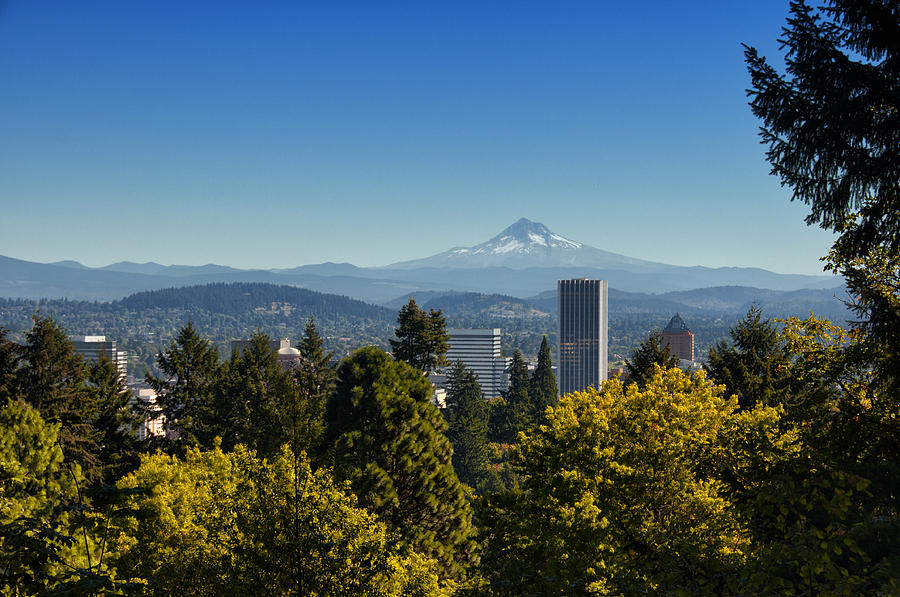 Portland and Mt Hood - Washington Park - Portland - Oregon Photograph by Bruce Friedman