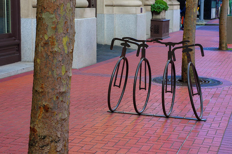 Portland Bike Racks Photograph by Steven Clark