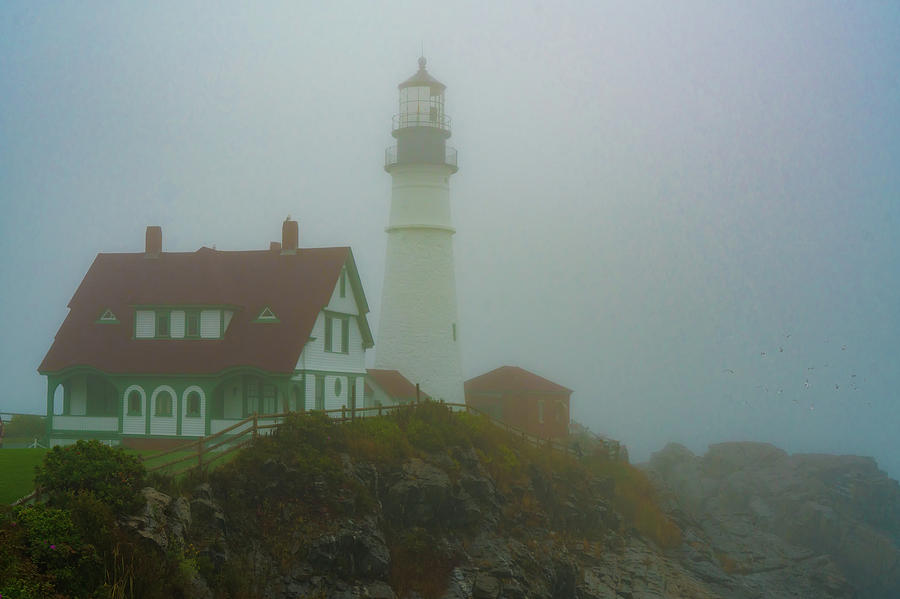 Portland Photograph - Portland Head Lighthouse In Mist by Chris Lord