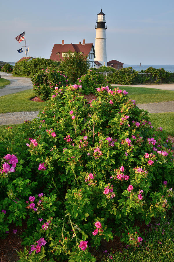 Portland Head Lighthouse Photograph by Ray Mathis