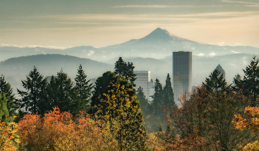 Portland in Autumn  #1 Photograph by Don Schwartz