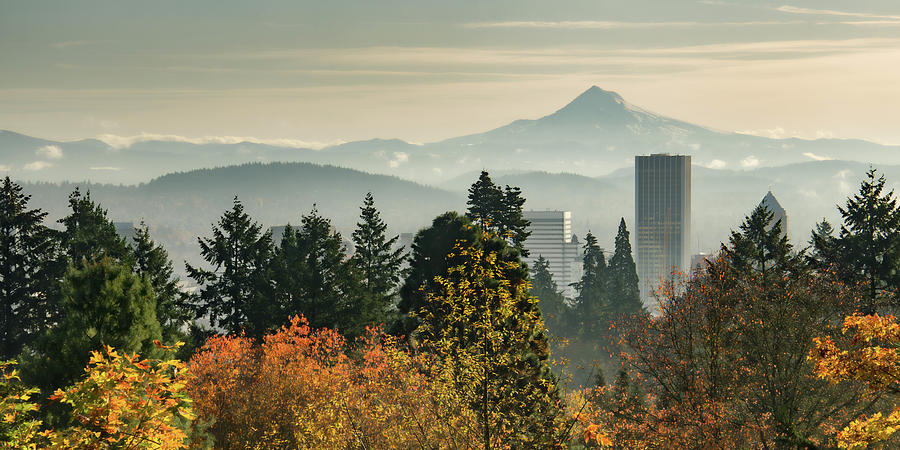 Portland in Autumn Photograph by Don Schwartz