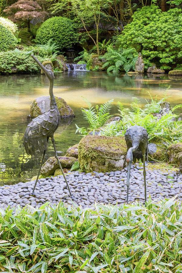 Portland Japanese Garden 2 Photograph by Willie Harper