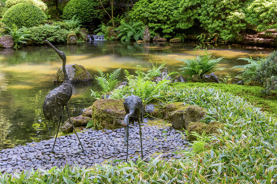 Portland Japanese Garden 3 Photograph by Willie Harper