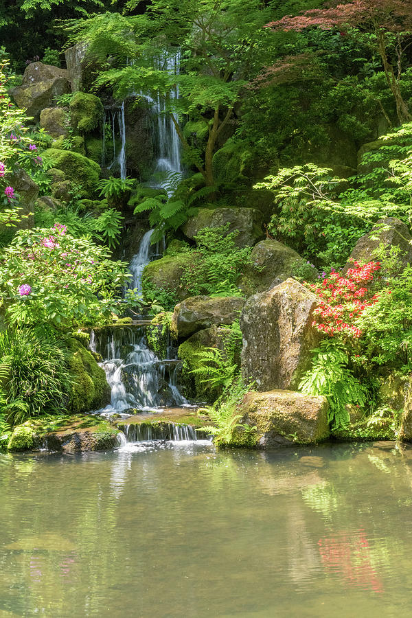 Portland Japanese Garden 4 Photograph by Willie Harper
