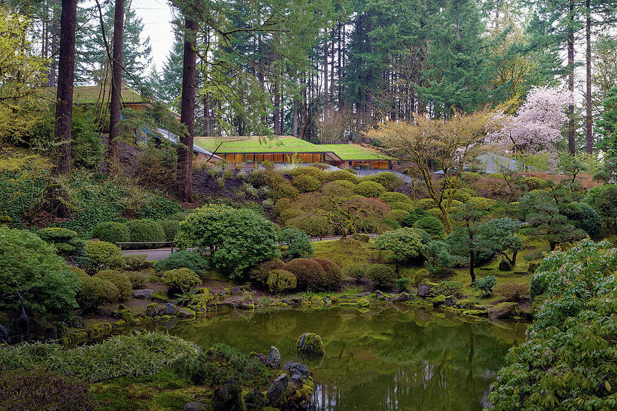 Portland Japanese Garden by the Lake Photograph by David Gn